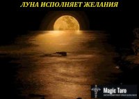 магия луны.jpg
